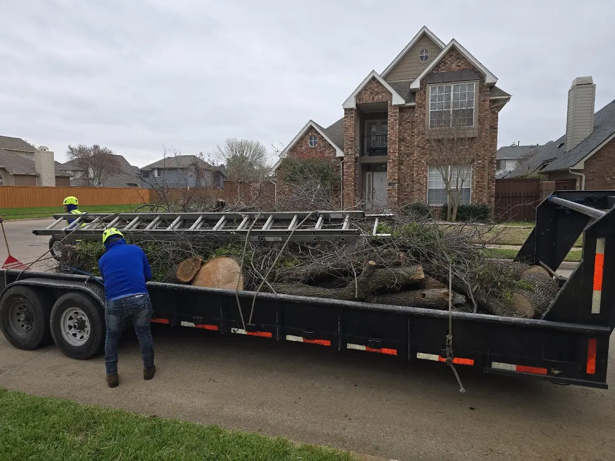 Expert Tree Fertilization with proper safety equipment in Mechanicsburg